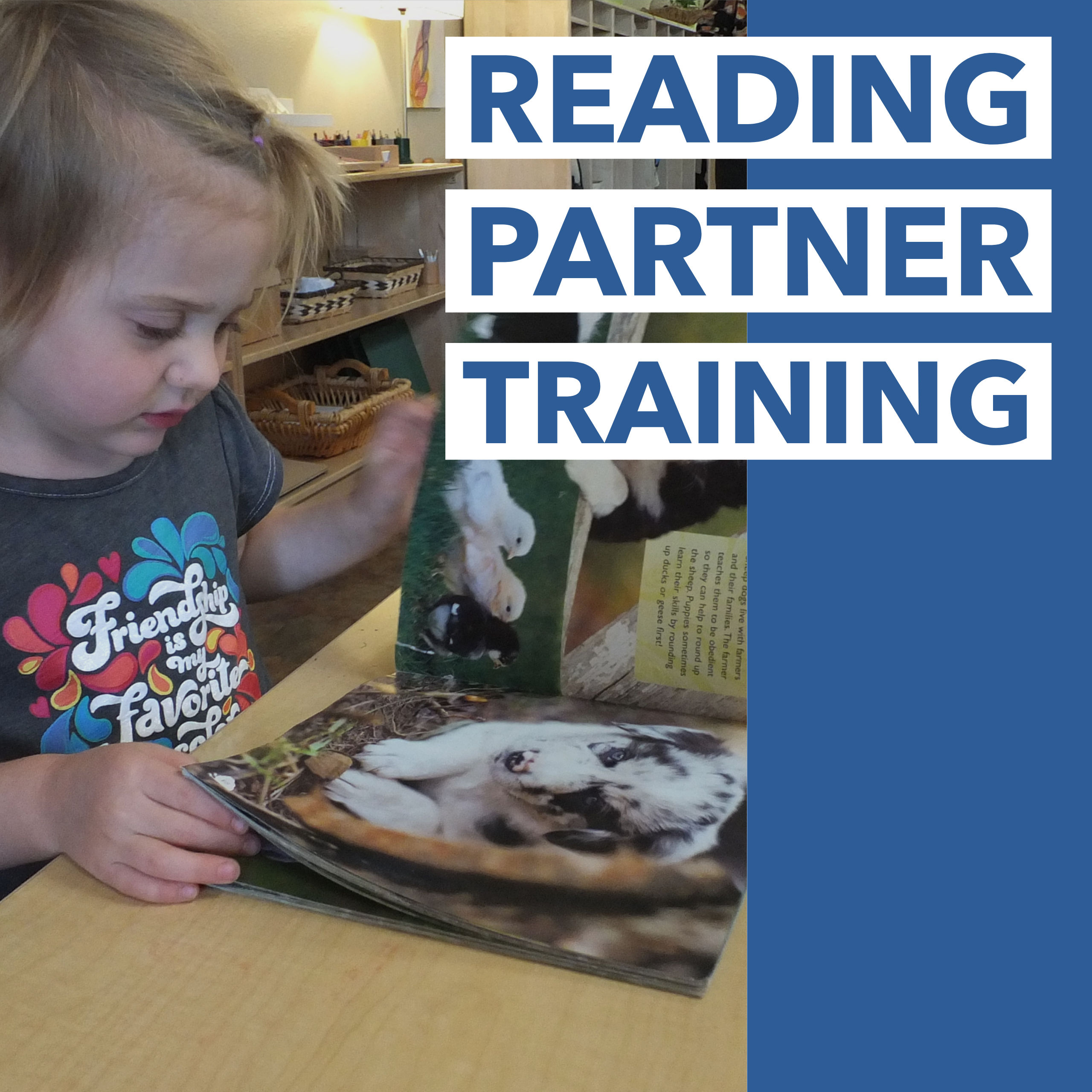 Reading Partner Training 
