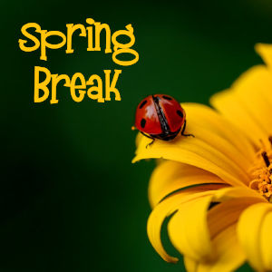 Spring Break 