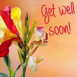 Get well soon! 